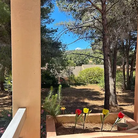 Le Mimosa, A La Faviere * Bormes-les-Mimosas