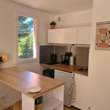 Apartment Le Mimosa, A La Faviere Bormes-les-Mimosas